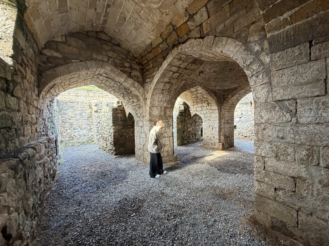 17 ноября 2025 г. Мы с семьей, двое взрослых и двое детей, были на экскурсии в