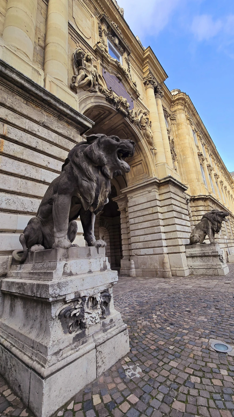 Неспешная и очень увлекательная трехчасовая прогулка по городу. Особенно хочу отметить гида Елену… человек с огромным