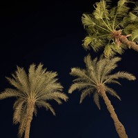 Фото отзыва 2: экскурсия "Вечерний круиз по Нилу, рынок Хан эль-Халили и улица Аль-Муизз (всё включено)"