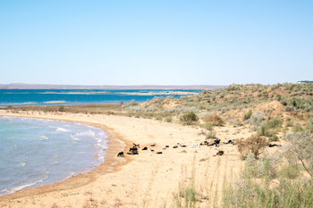 Озеро Айдаркуль