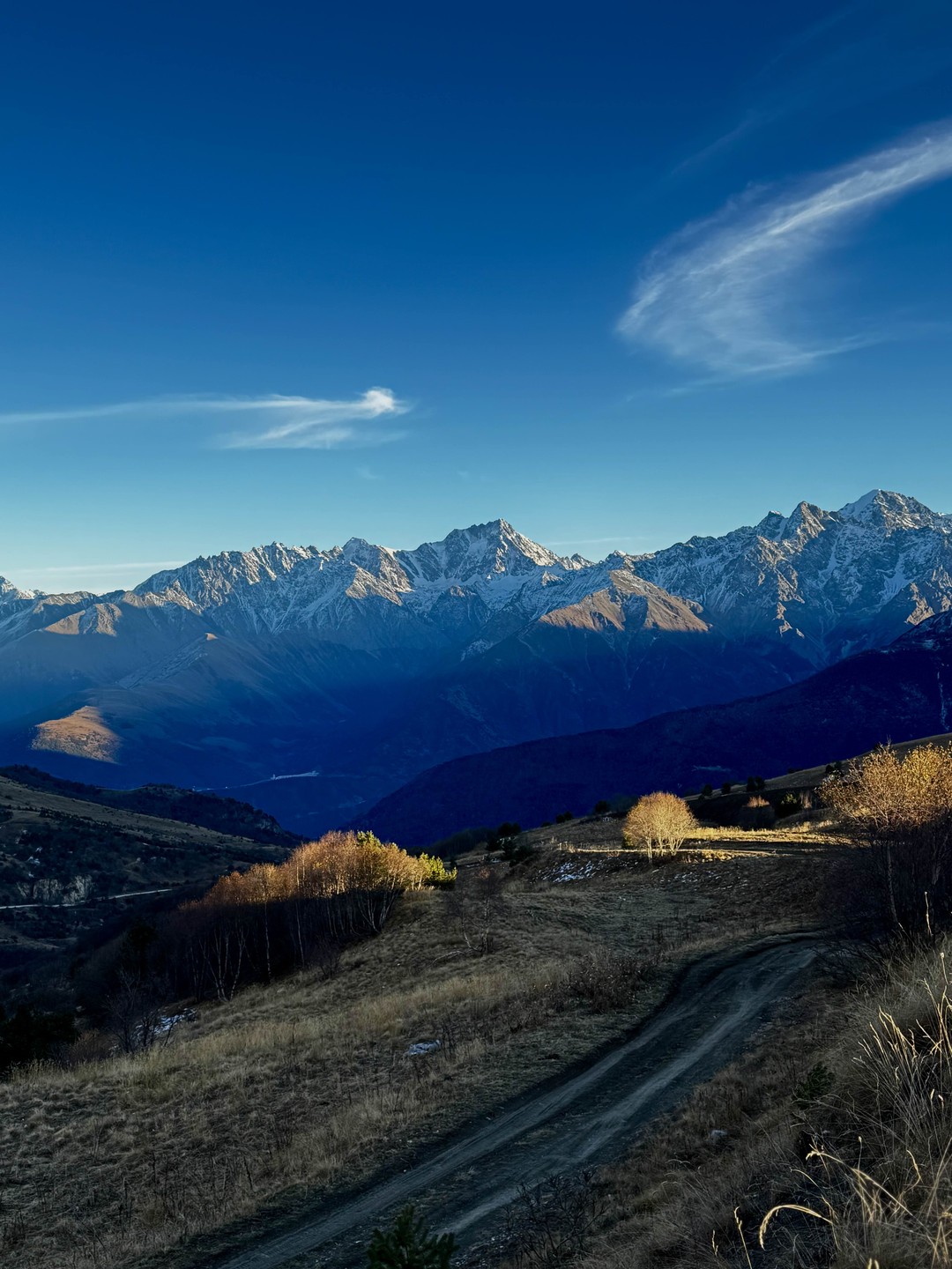 Дигория-это восторг❤️