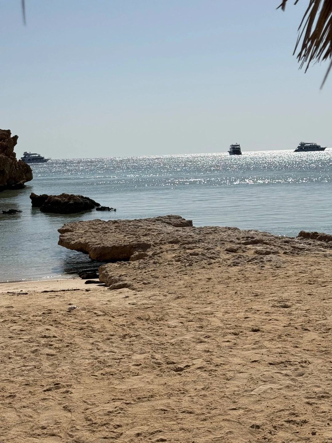 Мы побывали на экскурсии в заповедник Рас-Мохаммед, и остались в полном восторге! Организация была на высшем