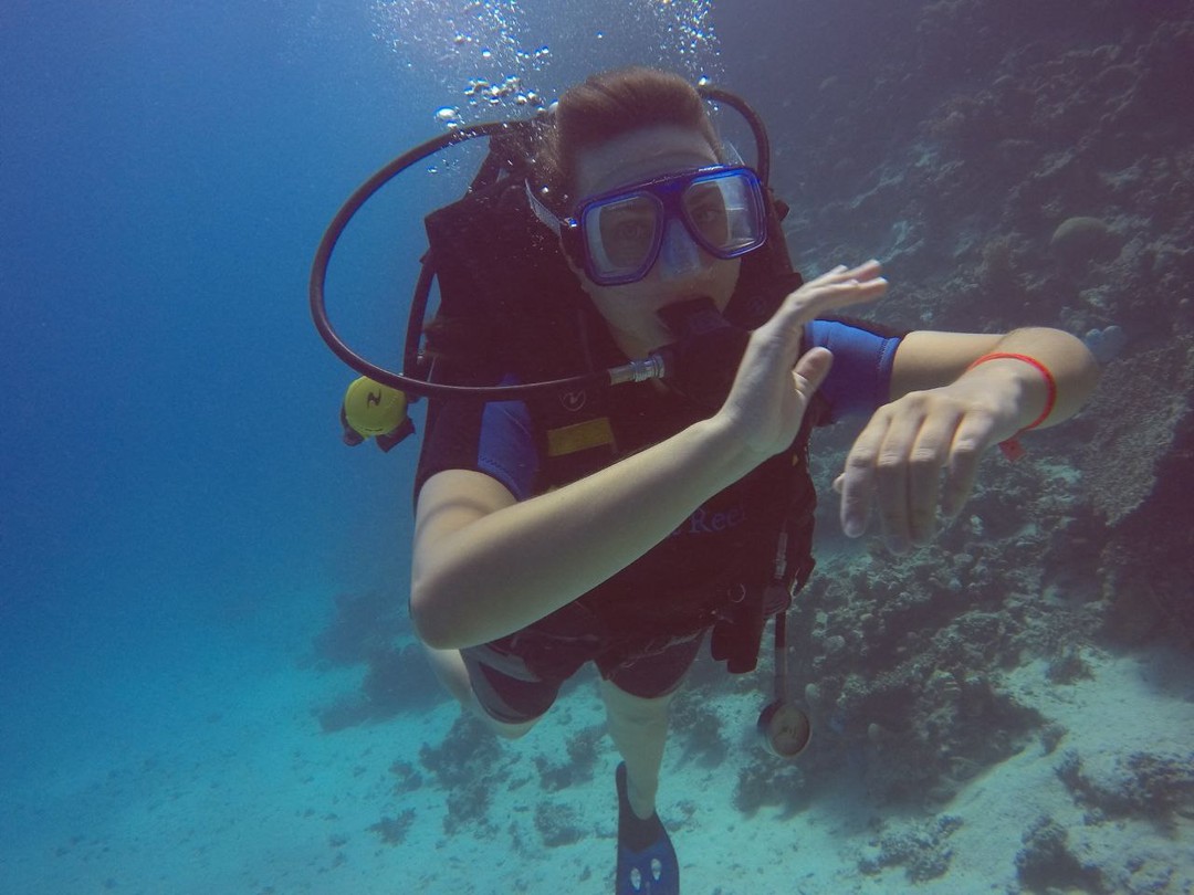 Индивидуальный дайвинг у берега Красного моря (Полина)