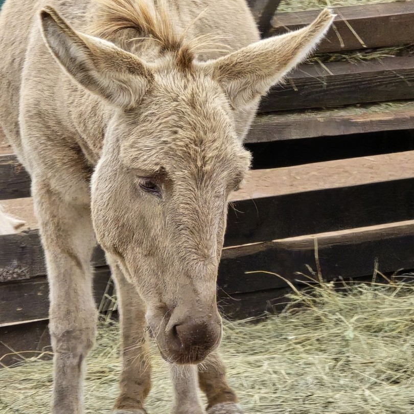 Экскурсия «Башкирское предуралье: от озерных глубин до горных вершин» превзошла все мои ожидания! Это удивительное путешествие