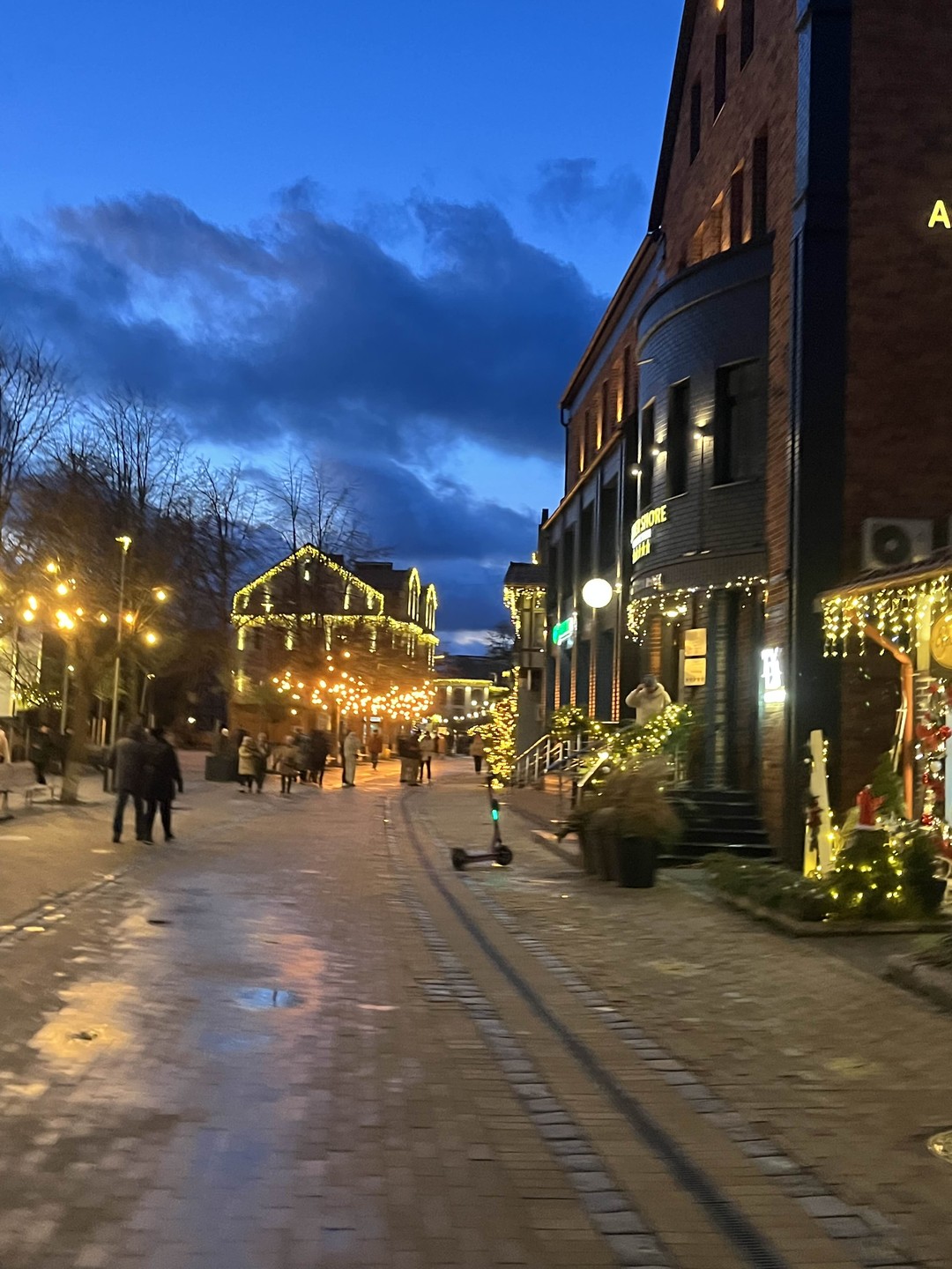 Рыбный Кёнигсберг и 12 оттенков пенного (Лилия)