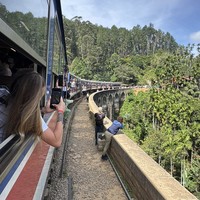 Фото отзыва 1: экскурсия "Элла: путешествие в высокогорную Шри-Ланку"