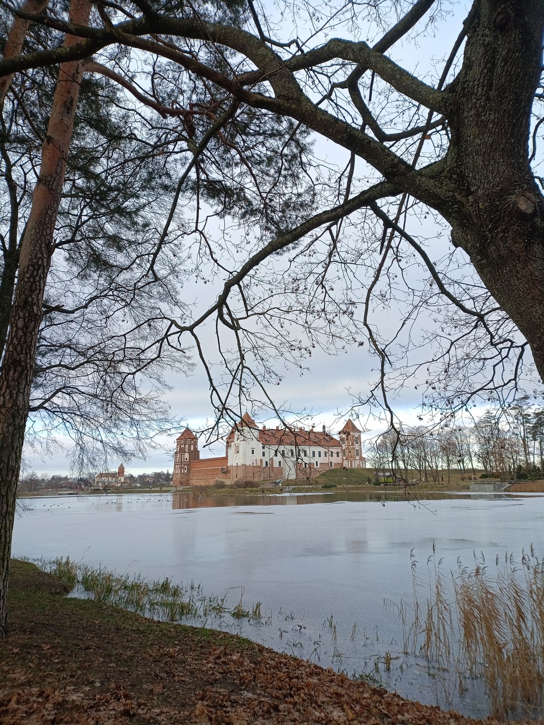 Замки Беларуси: групповая экскурсия в Мир и Несвиж из Минска (Ксения)