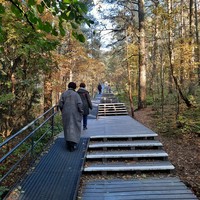 Фото отзыва 2: экскурсия "Из Светлогорска на Куршскую косу. Вид с высоты Мюллера! (в группе)"