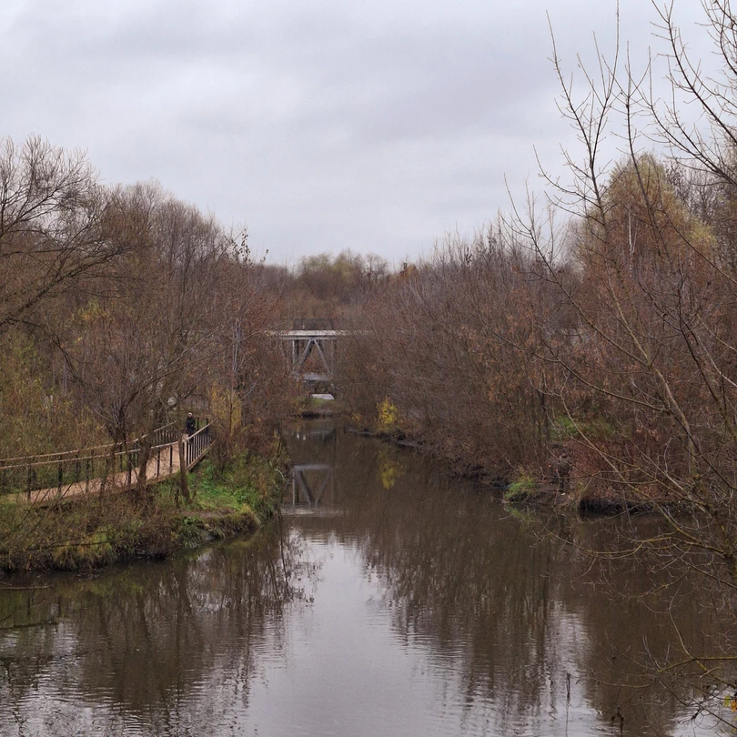 Большое спасибо, очень понравилась эскурсия по родному Свиблово, узнала много нового, погуляли в прекрасной компании, увидела