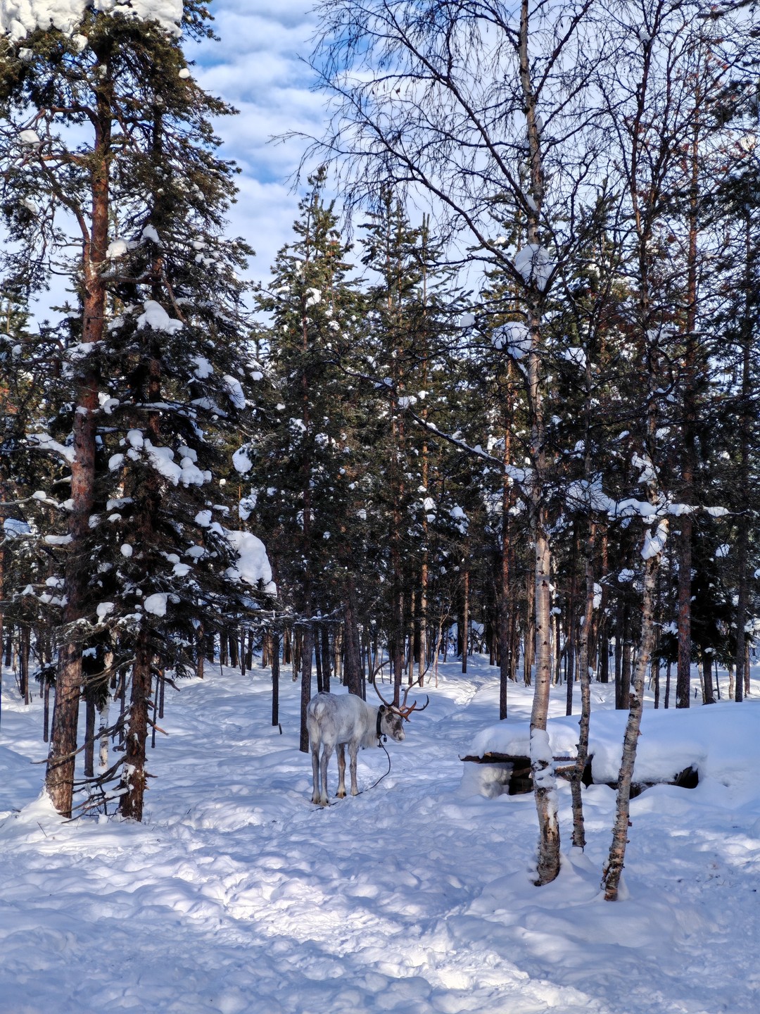 У нас был гид Максим, который к назначенному времени приехал на адрес, где я жила. Очень