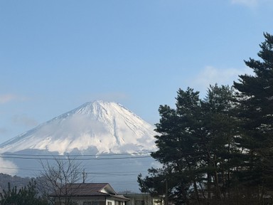 Фото отзыва 1: экскурсия "Фудзи — символ Японии"
