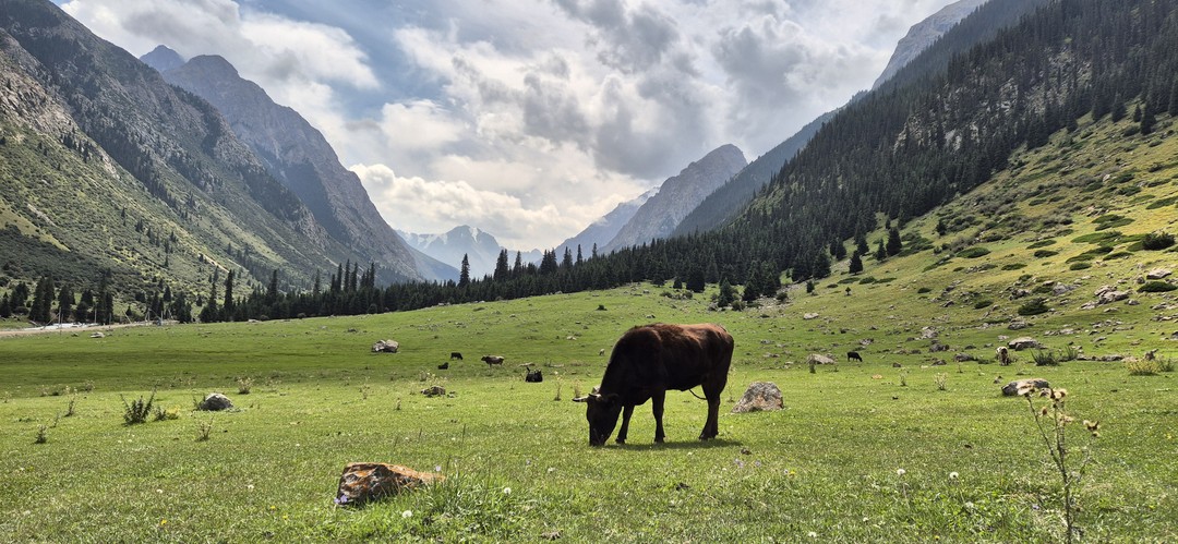 Просто невероятное путеществие по красивешим местам Киргизии, каждень день нам с группой казалось, что мы пересекли