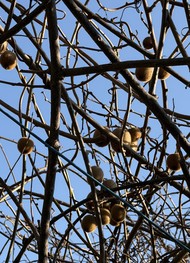 Фото отзыва 2: экскурсия "Необыкновенная Абхазия — в индивидуальном формате из Сочи"