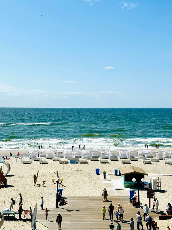 Виды Янтарная Ривьера: Янтарный, Светлогорск, Пионерский и сыроварня