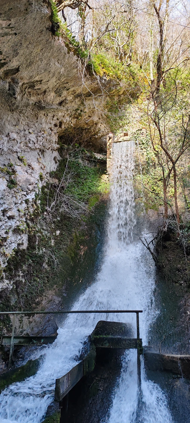 Шикарная экскурсия! Не первый раз были в Абхазии, и по такому же маршруту не первый раз