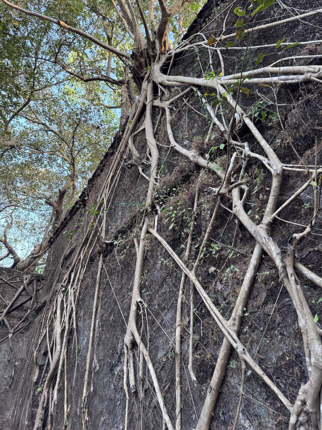 Выражаю огромную благодарность Марии и Алене за экскурсию.