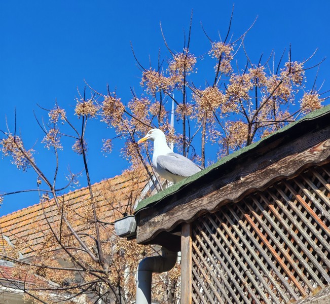 Оценка: 5/5. Обязательно к посещению!