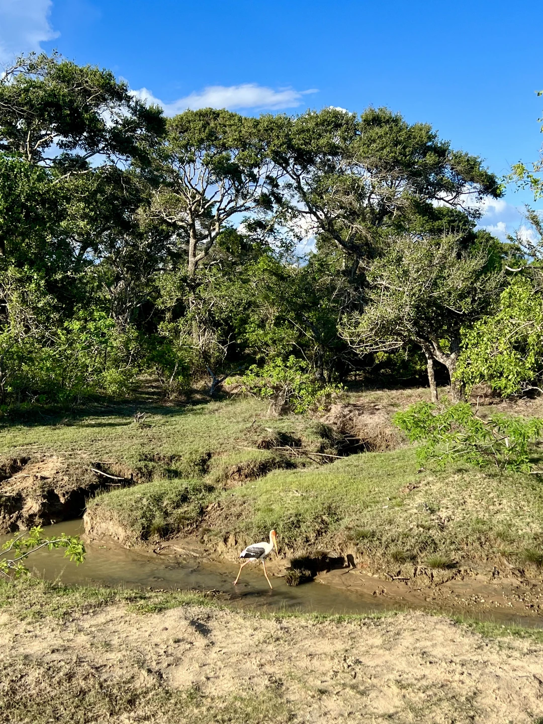 Очень рекомендую эту экскурсию. Дорога от отеля прошла незаметно: столько интересной истории, слушали втроем с 9-летним