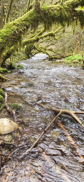 Это была отличная экскурсия. Очень понравилась Абхазская природа и достопримечательности. Даниэль отличный гид, показал очень красивые