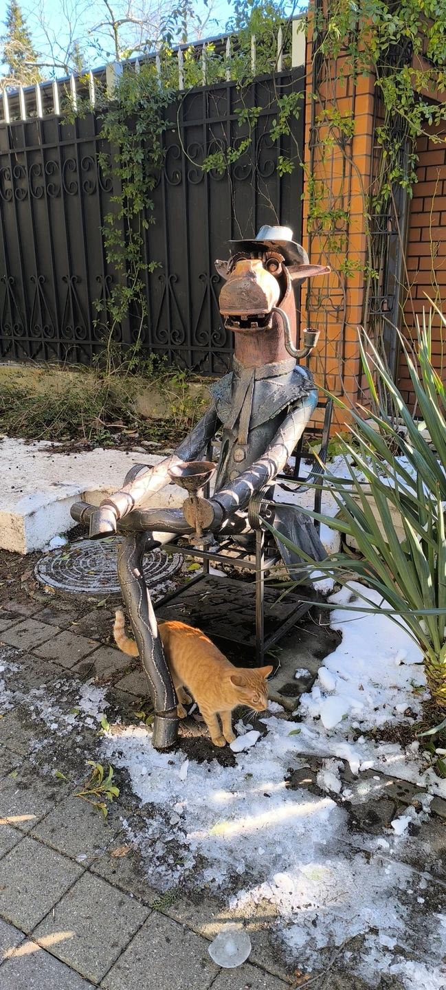 Сочи глазами местных (Катерина)