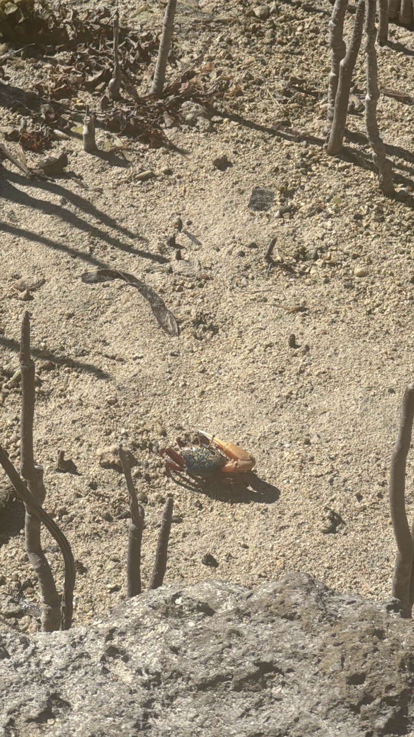 Экскурсия прошла замечательно, Ахмед — отличный гид с великолепным знанием русского. Объездили весь заповедник, практически не