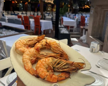 Сбор в Олюденизе, ужин-знакомство