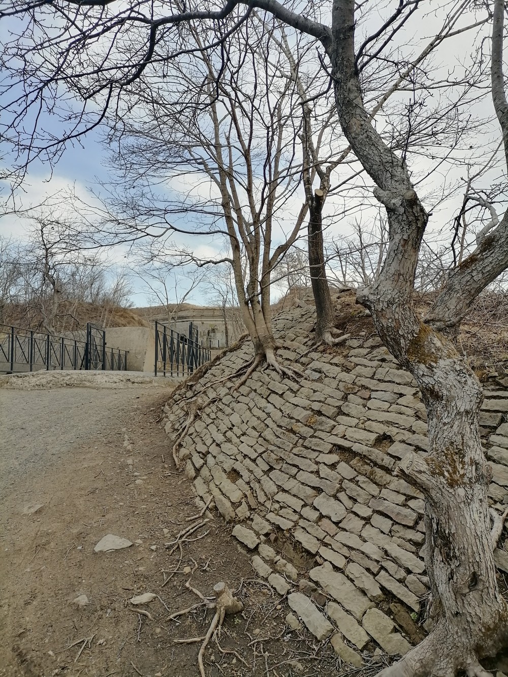 Фото Владивосток, остров Русский и Токаревский маяк