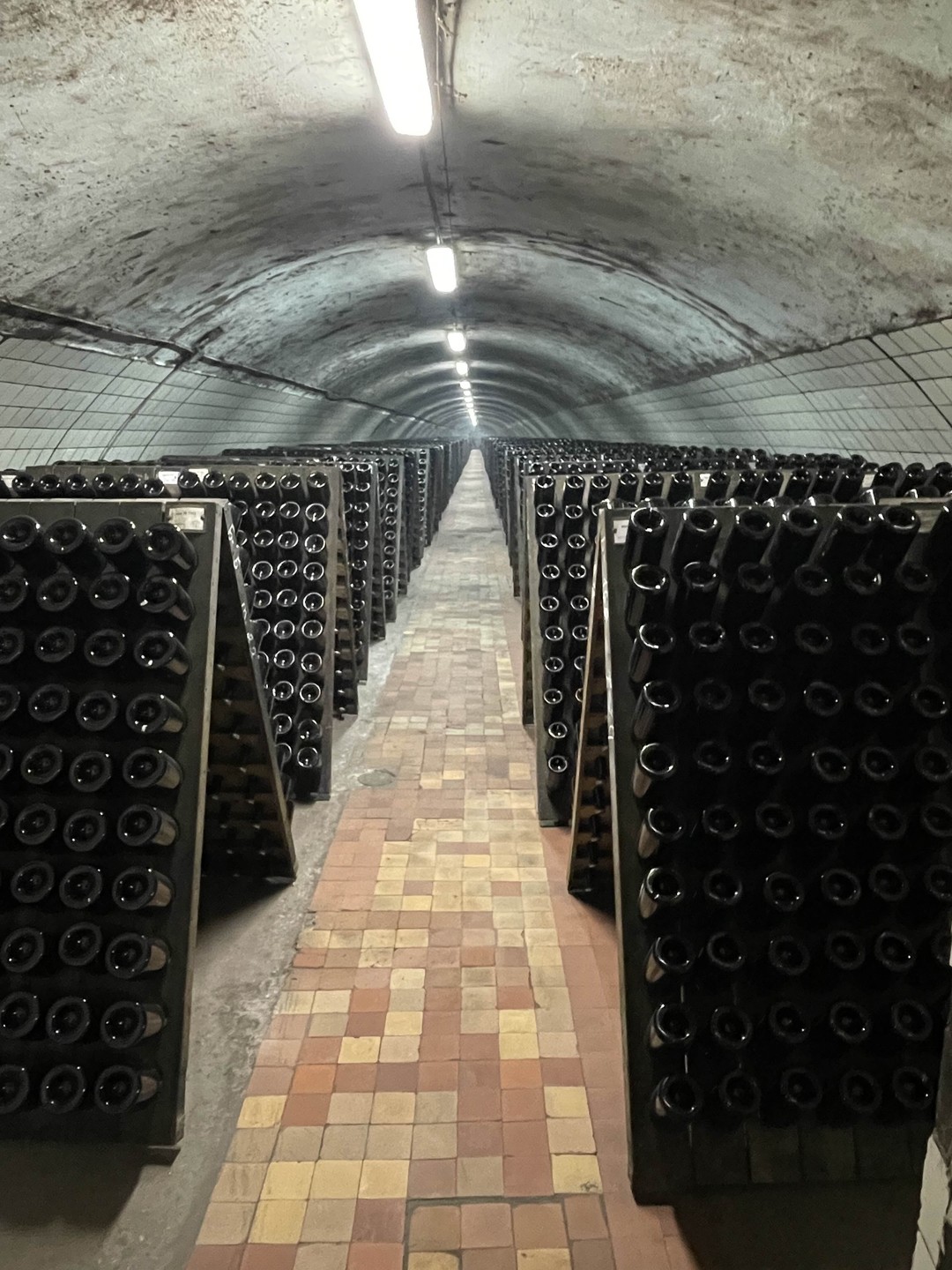 Шикарная прогулка по тоннелям Абрау. Отличный экскурс в историю и погружение в историю производства шампанского в России