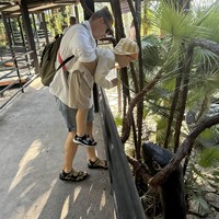 Фото отзыва 2: экскурсия "Из Паттайи — в парк растений «Нонг Нуч» (с обедом или без)"