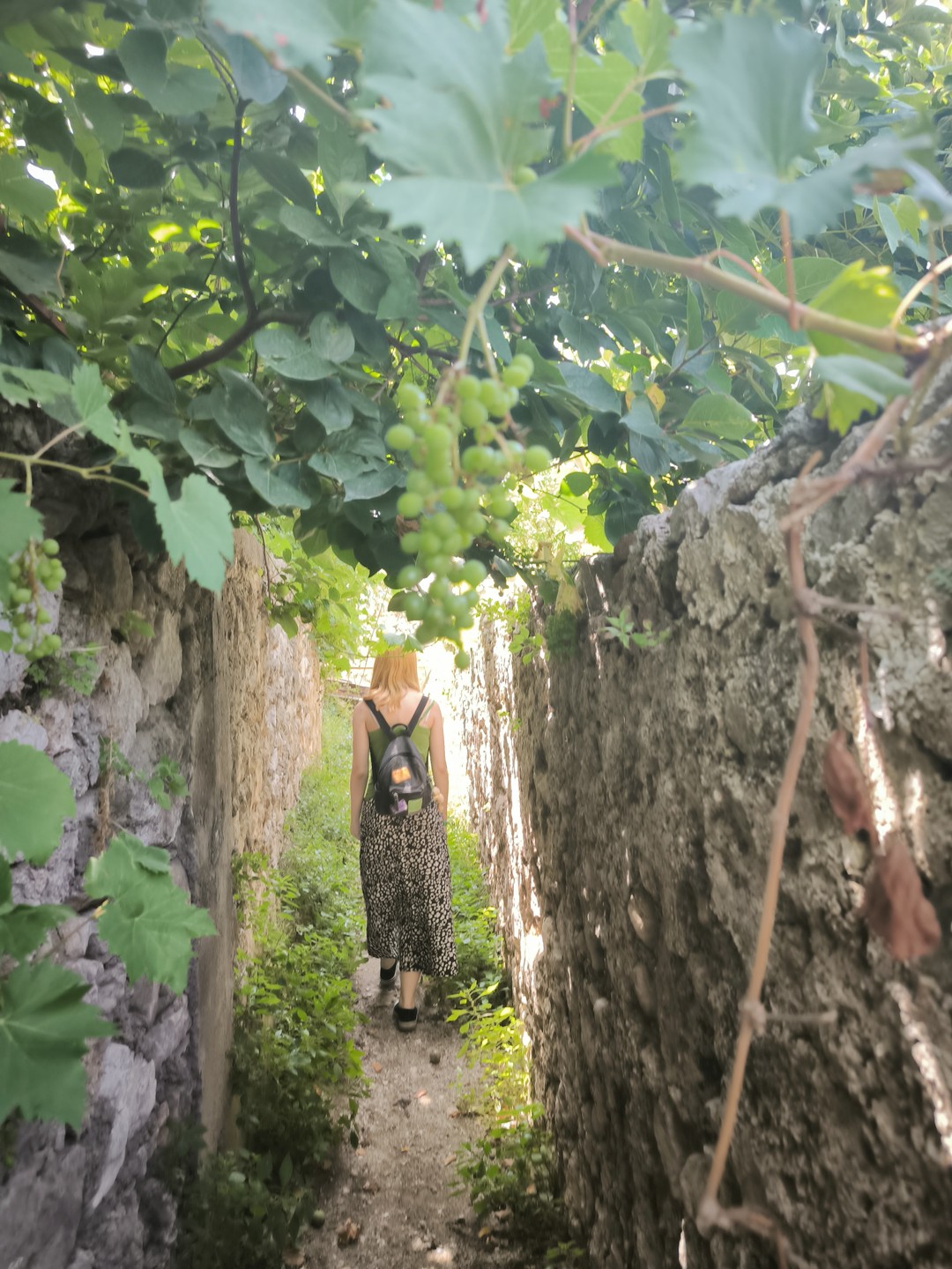 Огромная благодарность Наталии,как замечательному экскурсоводу,интересному собеседнику и просто великолепной,веселой,эрудированный женщине! Исторические места,факты,шикарный базарчик,наивкуснейший ресторан с блюдами