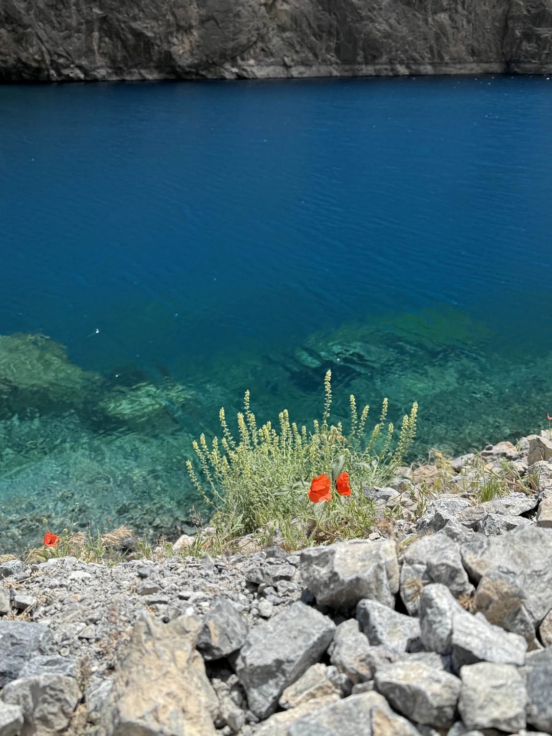 Это было удивительное путешествие, все сложилось (погода, водитель, гид). Природа удивительная. Спасибо за организацию
