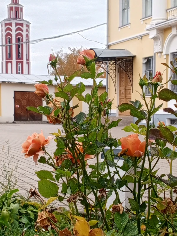 Праздничные гуляния в купеческой Калуге