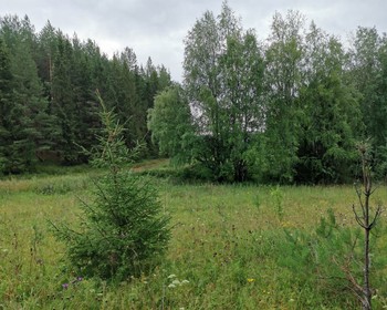 Пермь, Мазуевка и Красноуфимск