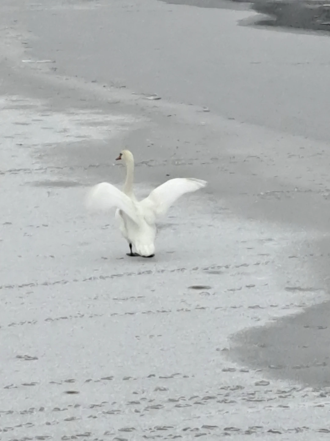 Экскурсия продумана до мелочей: вас забирают от того места, где вам удобно и начинается уже по