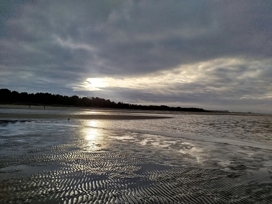 Спасибо Сергею, в компании которого мы провели несколько незабываемых дней в Архангельске и его окрестностях, увидели