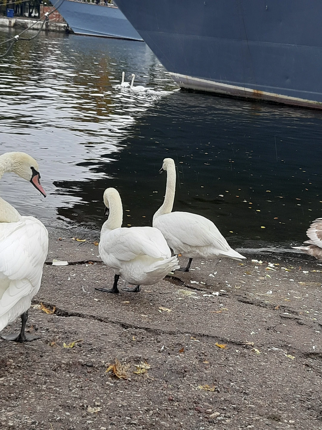 Три в одном: Балтийск, Янтарный и Светлогорск (Маргарита)
