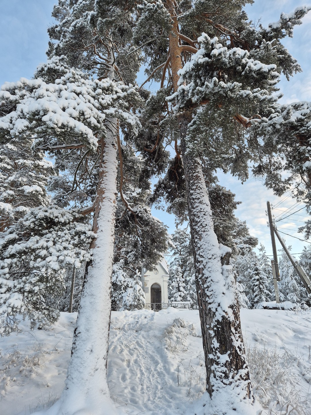 Ваш идеальный день в Карелии (Анна)