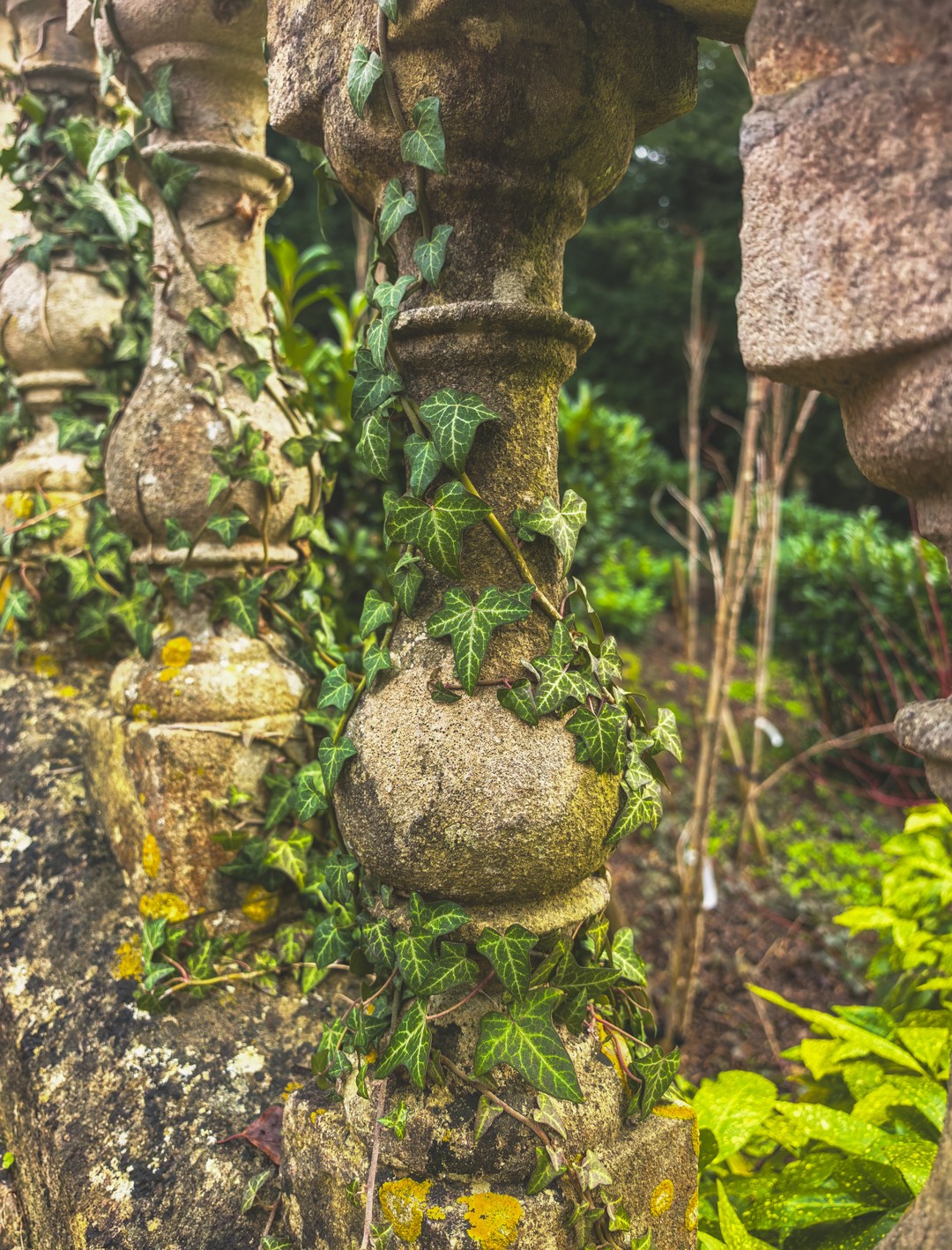 Хотим поблагодарить Андрея за прекрасную экскурсию! Нам хотелось в данной поездке, помимо городов, увидеть ещё и