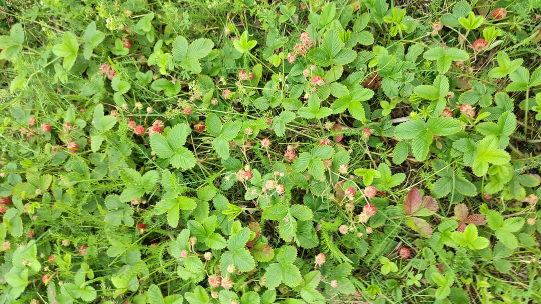 Спасибо за экскурсию "Неизведанная Башкирия". Все понравилось: и маршрут, и организация, и гид. Диана искренний и