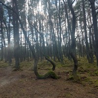 Фото отзыва 4: экскурсия ""