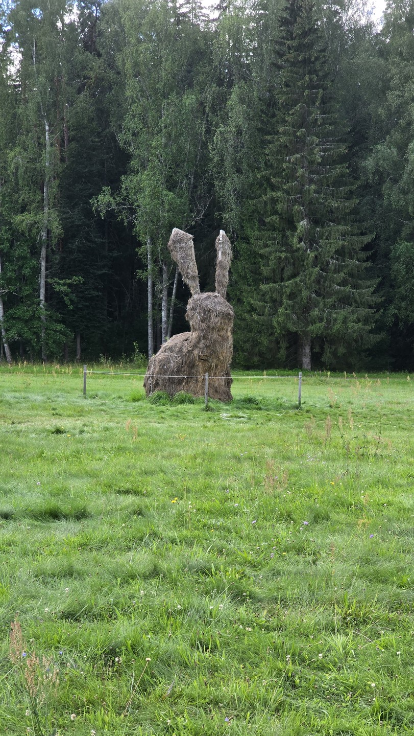 Очень понравилась программа. История жизни А. С. Пушкина завораживает. Рассказы о том, что зайцы спасли Пушкина