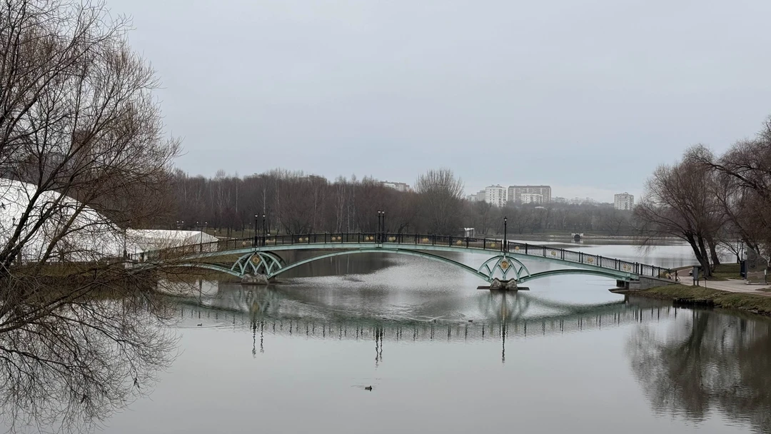 Экскурсия началась вовремя, нам выдали одноразовые наушники, очень удобно оказалось в процессе: была возможность немного отойти