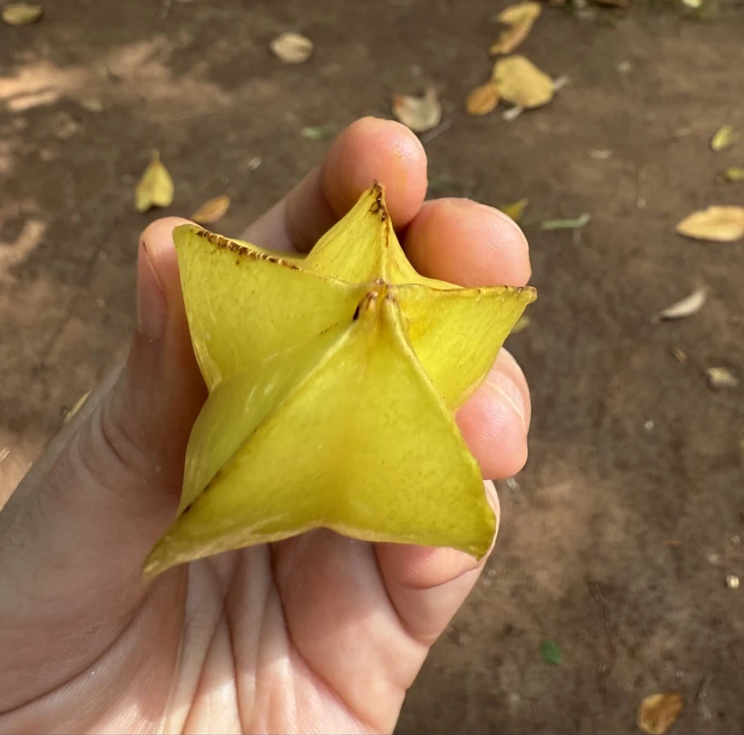 Прекрасный гид. Рекомендую. Очень славно провели время.