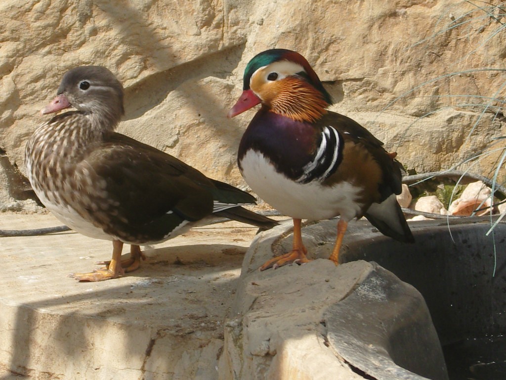 Из Новороссийска к Азовскому морю! (12/24)