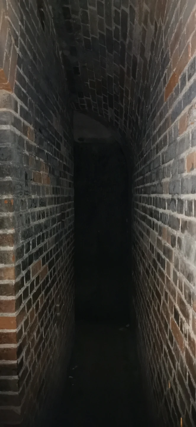 Экскурсия по форту № 11 «Дёнхофф» со специалистом по фортификациям (Анатолий)