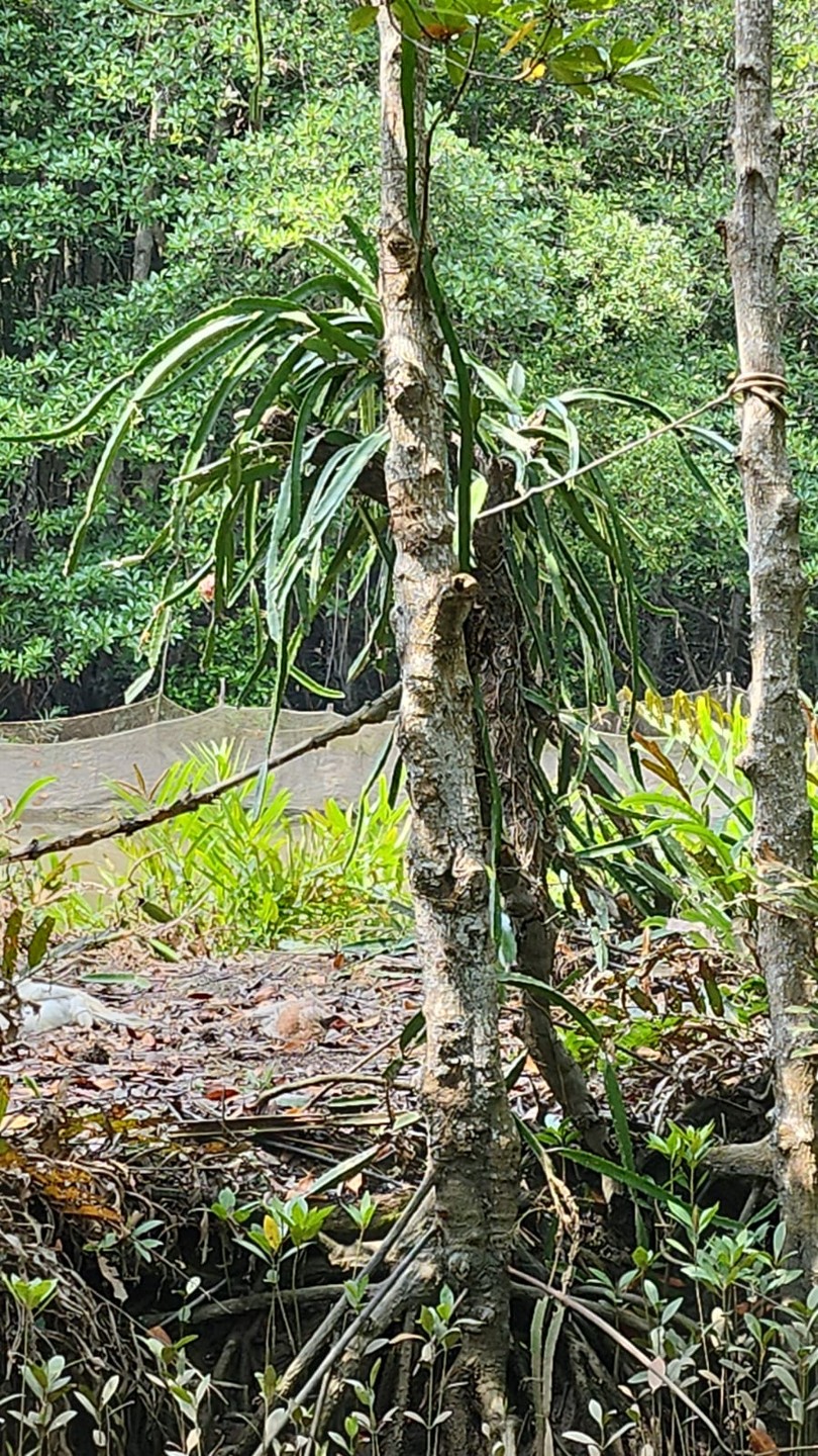 Большое спасибо Ирине за превосходную экскурсию! Это были незабывания впечатления и поездка, которую очень хочется повторить!