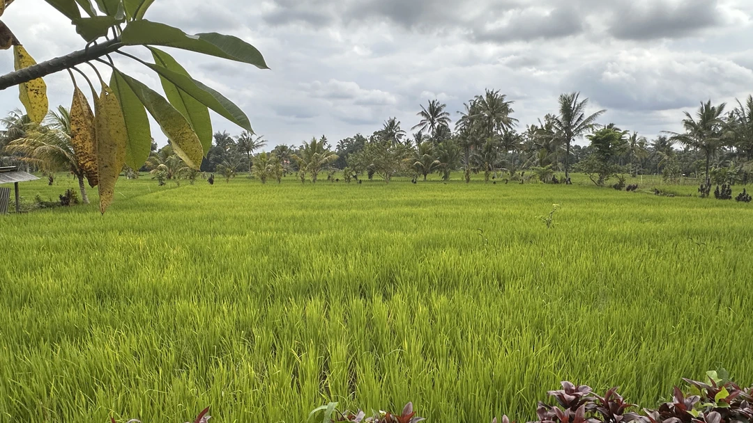 Отличное путешествие. Ваян прекрасен, улыбчив и внимателен к деталям. Поездка прошла прекрасно. Заехали на обед по совету Ваяна и остались довольны.