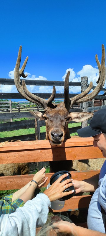 Минеральные источники и дух Тункинской долины - из Иркутска