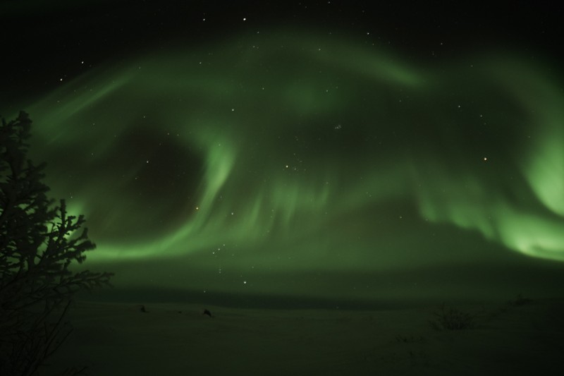 Виды Завораживающее северное сияние