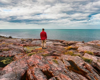 Поной - Сосновка - Никодимовский маяк - Стрельна